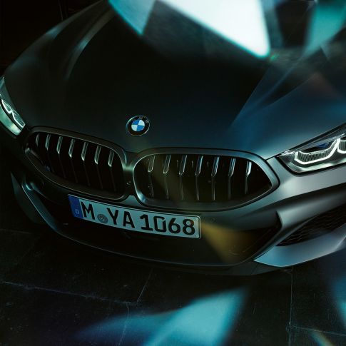 Doppelniere BMW M850i xDrive Gran Coupé G16 Doppelniere BMW M850i xDrive Gran Coupé G16 2019 BMW Individual Frozen Bluestone metallic Nahaufnahme Front