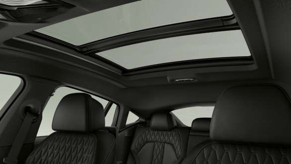 Panorama-Glasdach Sky Lounge BMW X6 G06 2019 Panorama-Glasdach Sky Lounge BMW X6 G06 2019