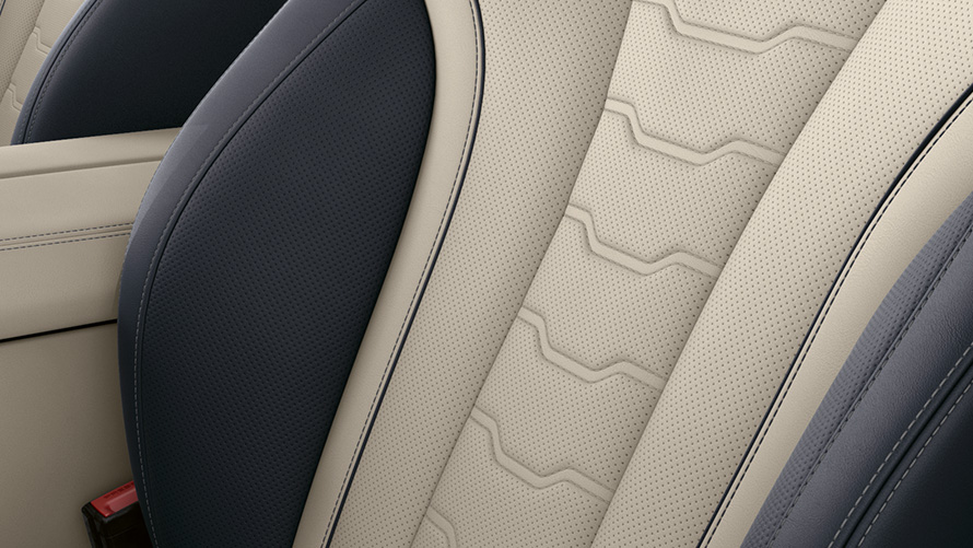 BMW Série 8 Gran Coupé, garnissage Frozen Temptation G16