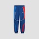 Puma BMW M Motorsport Regular Jogginghose Victoria-Blau